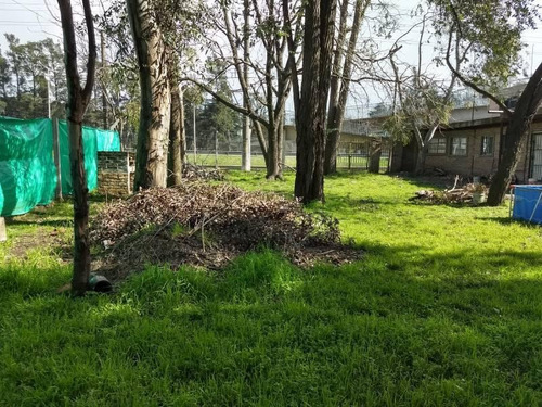 Imagen 6 de 22 de Venta De 8 Lotes En Block Con Locales