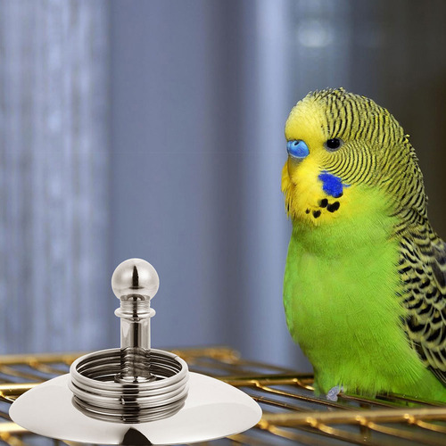 1 Juego De Divertidos Juguetes Para Loros, Accesorios De Ent