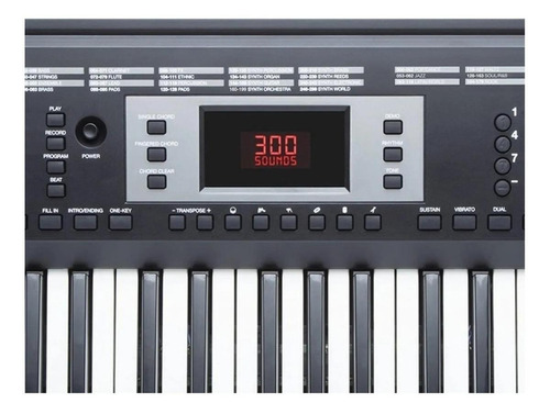 Imagen 3 de 3 de Teclado organeta Alesis Melody 61 MKII 61 teclas negro