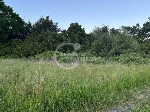 Sitio En Venta En Lanco Precioso
