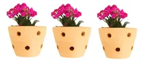 Comprar Trio Vasos Orquidea M Premium Floreira Parede Flores 3 Peças
