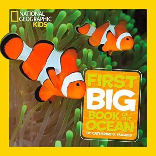 National Geographic Little Kids First Big Book Of The Ocean 