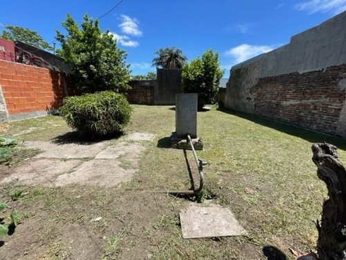 Imagen 5 de 6 de Venta - Bajó El Precio! Lote De 10m X 26m - Luis Guillón
