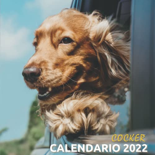 Calendario 2022 Cocker: Mensual De Enero A Diciembre - Calen