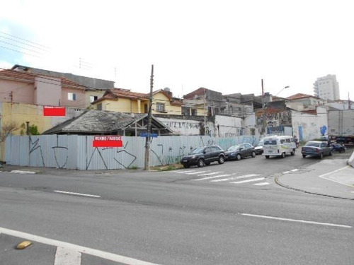 Imagem 2 de 3 de Terreno Em Santana, São Paulo/sp De 1040m² Para Locação R$ 36.000,00/mes - Te785599-r