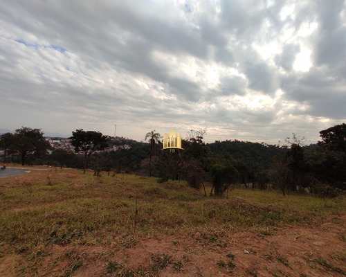 Imagem 16 de 25 de Lote Financiado Em Betim - Te00388 - 69550283