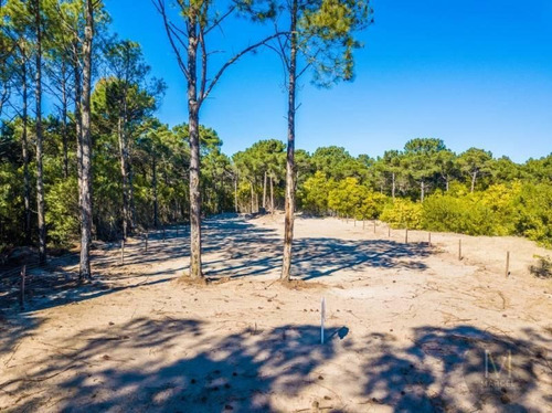 Imagen 5 de 13 de Lote En Venta - Pinamar Norte - A Metros De La Frontera