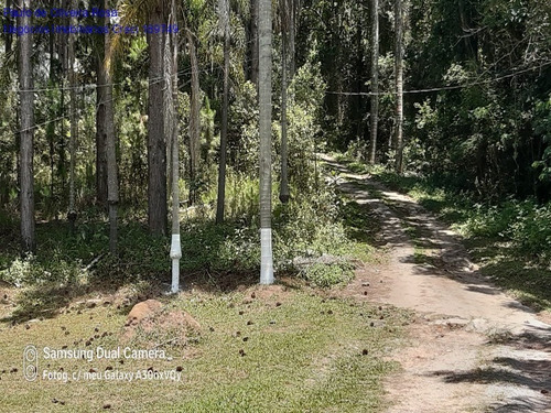 Imagem 16 de 23 de Chacara - Ch00038 - 70339824