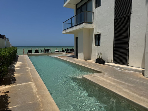 Departamento En Renta Frente A Playa En San Benito, Yucatán