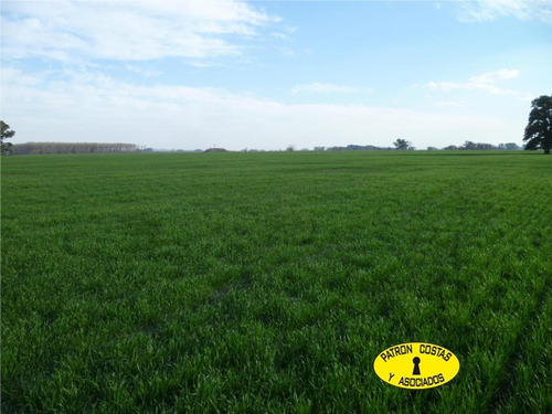 Imagen 8 de 11 de 2323hp-148 Has Agricolas R47 Lujan Con Instal