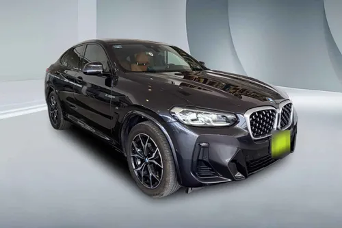BMW X4 5p xDrive 30i L4/2.0/T Aut