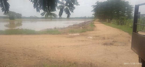 Imagen 18 de 28 de Finca En Venta Guarico