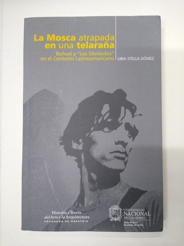 La Mosca Atrapada En Una Telaraña: Buñuel Y  Los Olvidados 