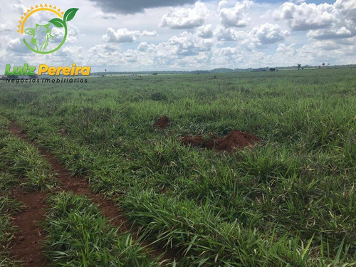 Imagem 7 de 12 de Fazenda À Venda Em Conceição Do Araguaia -pa-4.854.52 Hec. (d. Aptidão) - 2091