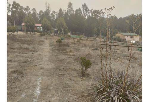 Oportunidad!!! A La Venta Parcela De 2.000 Mts2 En El Tabo