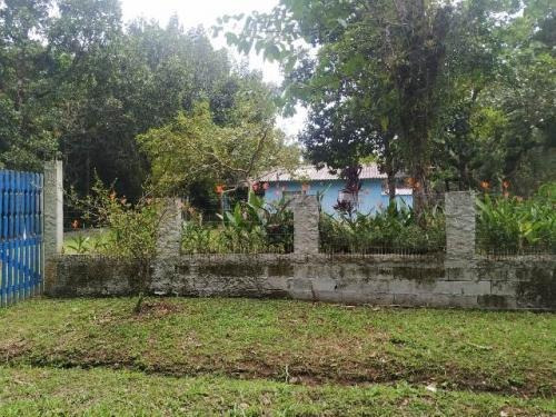 Chácara Com Lago E Árvores Frutíferas Em Itanhaém - 7747 Npc