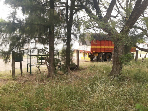 Imagen 10 de 20 de Terreno Esquina Céntrica Concordia, Los Charruas. Asfalto. Todos Los Servicios (400 M2).