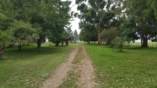 Imagen 8 de 17 de Campo En Venta 780 Has Mixto En Chascomus- 90 % Clase Iii.