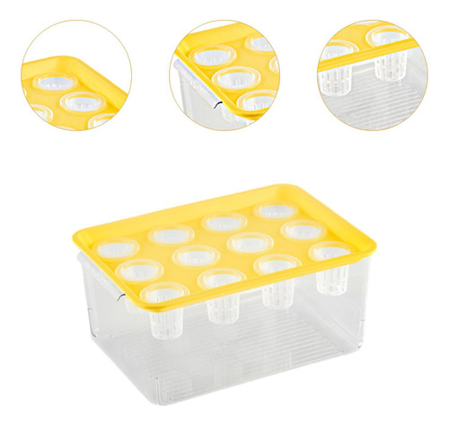 Caja De Hidropónico, Acuario De Para Interiores, Amarillo