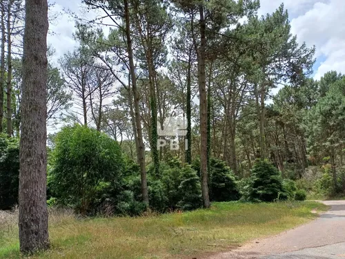 Terreno, Venta, Club Del Lago - Ref : Pbi14201