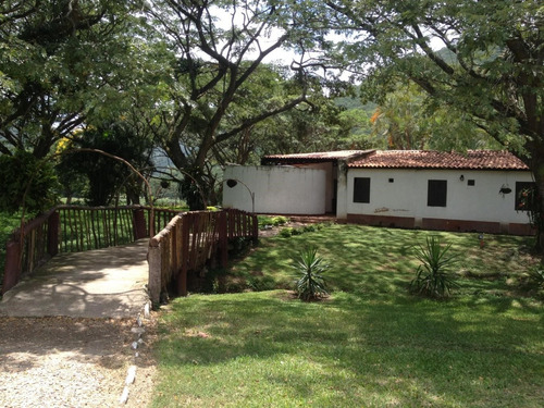 Imagen 4 de 13 de Vendo Finca 2.680.000 M2 El Consejo