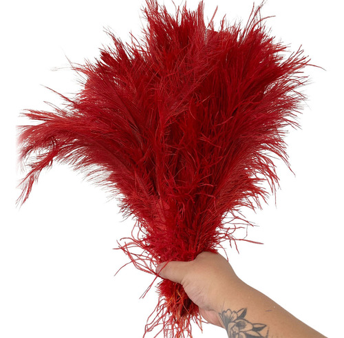 Plumas Palito De Avestruz Artes Decoração Carnaval 100g Cor Vermelho