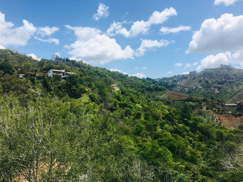 Imagen 8 de 8 de Se Vende Terreno 555m2 Colinas De Caicaguana 0780
