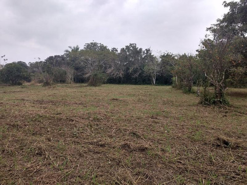 Vendo Terreno 2412 M² Isla De Juana Moza Tuxpan Veracruz