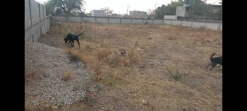 Terreno En Venta En Yecapixtla