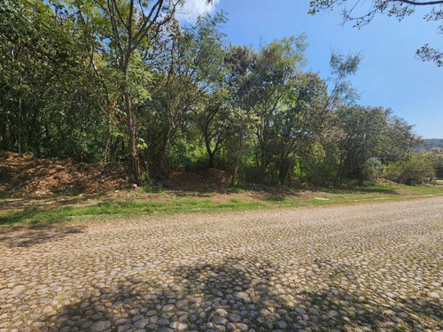 Venta Lote Glorieta 1 Justo En El Acceso Y Cerca De Amenidades Con Proyecto Incluído En Fracc Rancho San Diego Ixtapan De La Sal Edomex