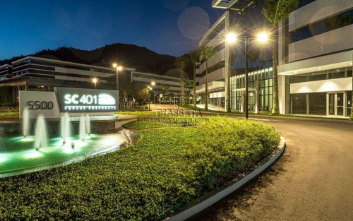 Imagem 10 de 30 de Sala Comercial Para Locação, Saco Grande, Florianópolis - . - Sa0018