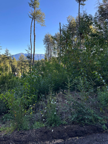 Lote Con Suave Pendiente Con Vista Al Lago Nahuel Huapi, Villa La Angostura