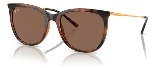 Óculos De Sol Ray Ban Dark Havana Rb4403l 668873 56
