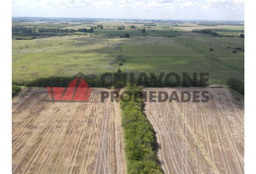 Campo - Marcos Paz