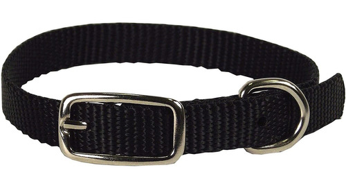 Hamilton - Collar Para Perro De Nailon Grueso  12.0 In  Colo