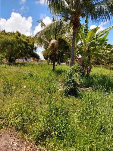 Imagem 9 de 19 de Vende Um Terreno Com Uma Construção Em Andamento Proximo A Praia - 24761