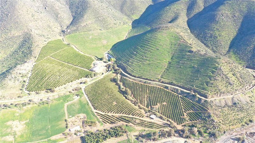 Imagen 11 de 15 de Agrícola En Venta En Monte Patria