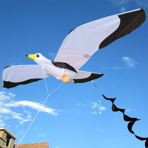 Hermosa De Gaviota En 3d Para Niños Y Adultos, De C