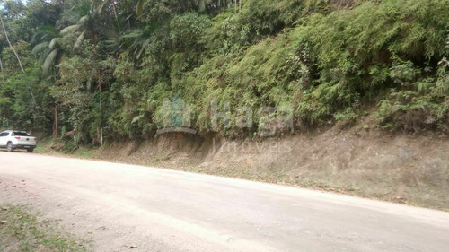 Imagem 8 de 14 de Chácara À Venda No Bairro Pomerânia - Guabiruba/sc - 2329c