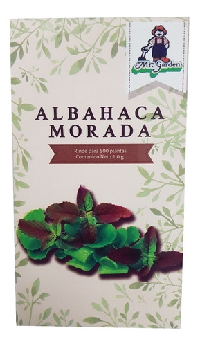 Semilla Albahaca Morada (rinde Para 500 Plantas)