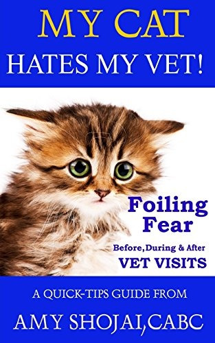 Mi Gato Odia A Mi Veterinario Frustrar El Miedo Antes Y Desp