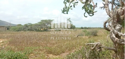 Terreno Con Bienhechuría En Jamaica, Falcón. Plt-261