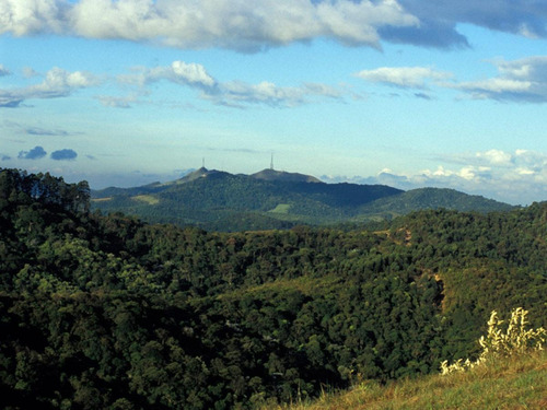 Imagem 8 de 13 de Lindo Lote Em Aclive No Gênesis 2 - Te0233