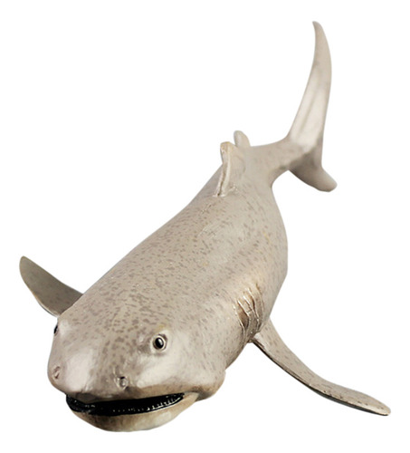 Decoración De Organismos Marinos Con Modelo Animal De Tiburó