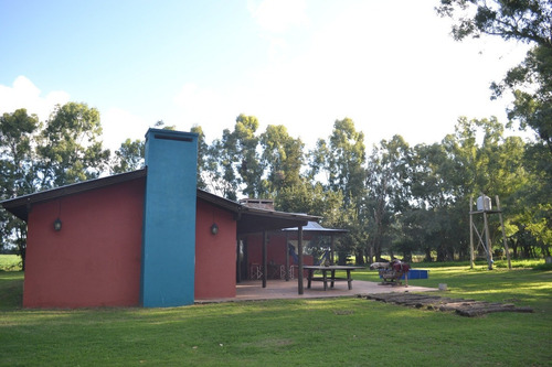 Imagen 3 de 15 de Campo En Gral. Madariaga