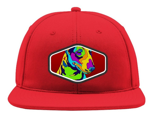 Snapback Perro Colores Gorro Bordado