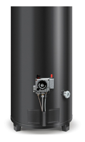 Imagen 3 de 5 de Termotanque Rheem Confort Residencial 160 Litros Apg160nrh07