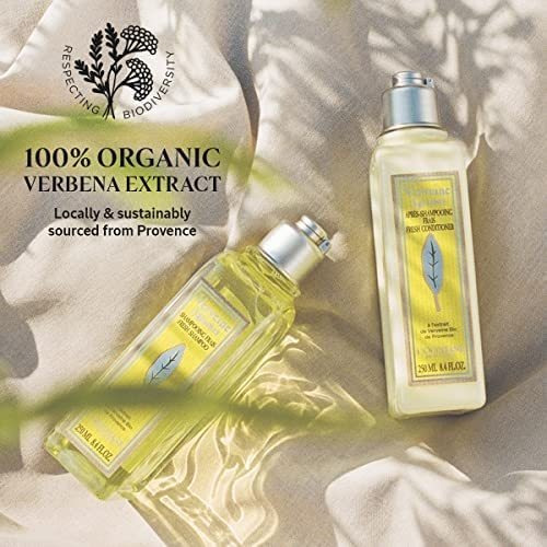 Loccitane ChampĂș Citrus Verbena Enriquecido Com Extratos