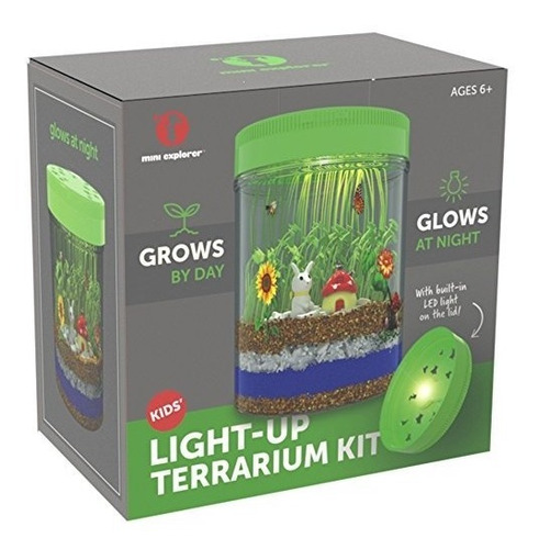 Kit Light-up Terrarium Para Niños Con Luz Led En La Tapa |