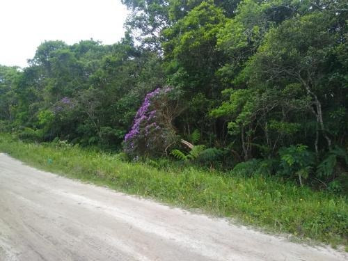 Imagem 3 de 3 de Terreno Na Praia Com 1200m², Bairro Bpiranga Em Itanhaém